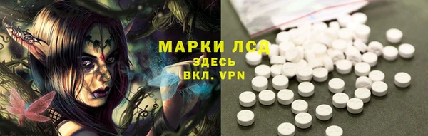 стаф Абинск