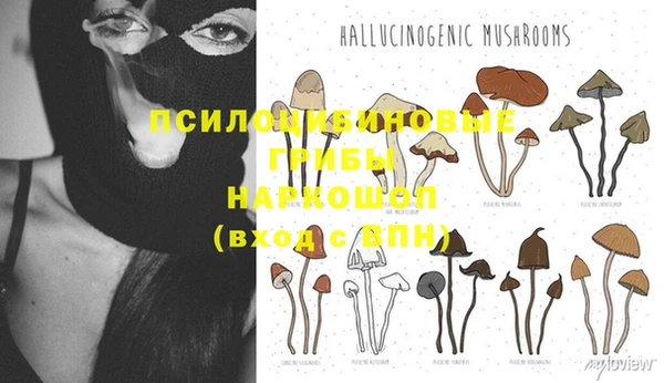 тгк Алексин