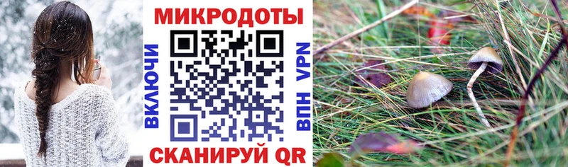 даркнет наркотические препараты Змеиногорск Галлюциногенные грибы мицелий где купить наркоту